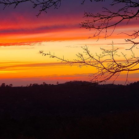 Yosemite Foothill Retreat - Private Guest Suite #2 Coarsegold Εξωτερικό φωτογραφία